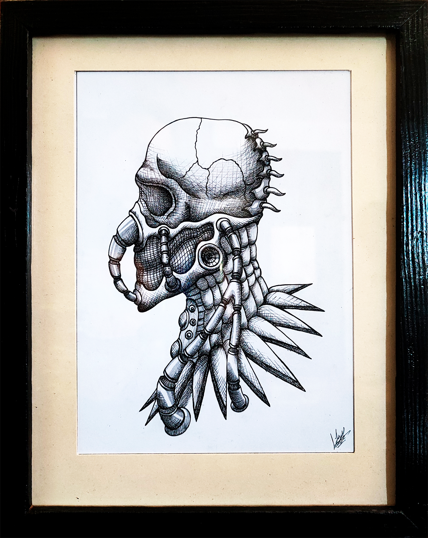 MARAUDER